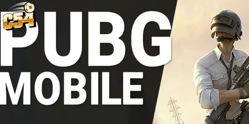 Bí quyết cá cược PUBG Mobile C54: Hướng dẫn chơi cho tân thủ 