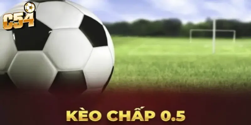 Kèo chấp 0.5 trái C54 là gì? Mẹo đọc kèo hốt bạc cực chuẩn 